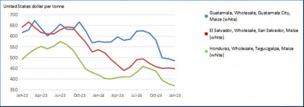 Prices of white maize and black beans mostly declined month-on-month in January 2025, reflecting ample market availability